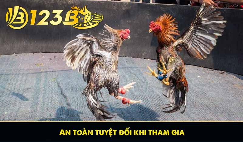 Đá Gà Thomo - Các Hình Thức Cá Cược Đá Gà Thomo Phổ Biến 9 An toàn tuyệt đối khi tham gia