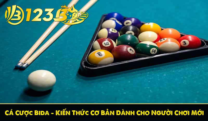 Cá Cược Bida – Kiến Thức Cơ Bản Dành Cho Người Chơi Mới 15 Cá Cược Bida – Kiến Thức Cơ Bản Dành Cho Người Chơi Mới