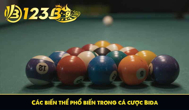 Cá Cược Bida – Kiến Thức Cơ Bản Dành Cho Người Chơi Mới 9 Các biến thể phổ biến trong cá cược Bida