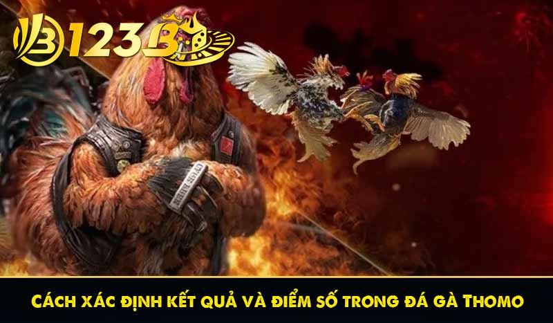 Đá Gà Thomo - Các Hình Thức Cá Cược Đá Gà Thomo Phổ Biến 13 Cách xác định kết quả và điểm số trong đá gà Thomo