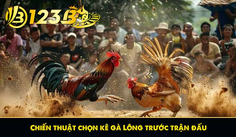 Đá Gà Lông – Đề Cao Kỹ Năng Gà Chọi Truyền Thống Tại 123B 9 Chiến thuật chọn kê gà Lông trước trận đấu