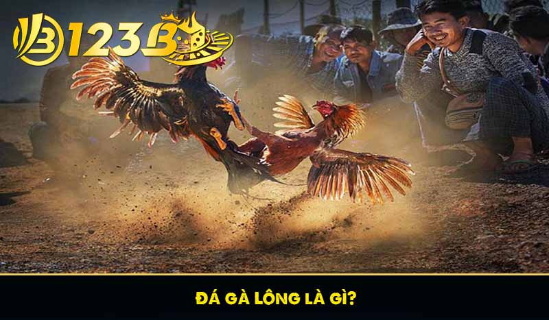 Đá Gà Lông – Đề Cao Kỹ Năng Gà Chọi Truyền Thống Tại 123B 7 Đá gà Lông là gì?