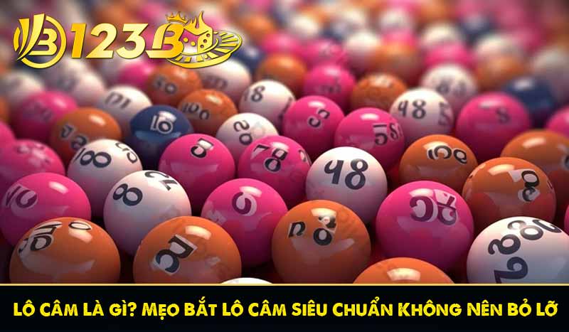 Lô Câm Là gì? Mẹo Bắt Lô Câm Siêu Chuẩn Không Nên Bỏ Lỡ 13 Lô Câm Là gì? Mẹo Bắt Lô Câm Siêu Chuẩn Không Nên Bỏ Lỡ