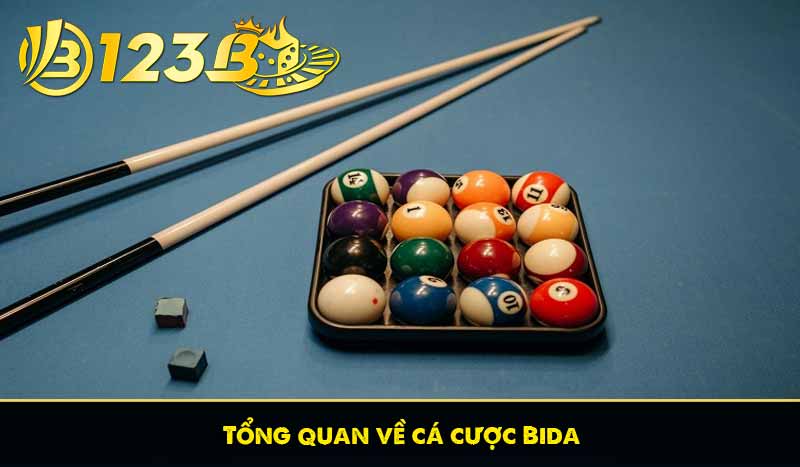 Cá Cược Bida – Kiến Thức Cơ Bản Dành Cho Người Chơi Mới 6 Tổng quan về cá cược Bida