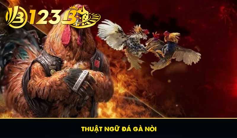Thuật Ngữ Đá Gà – Hướng Đẫn Giải Mã Thuật ngữ cá cược đá gà 7 thuật ngữ đá gà nòi