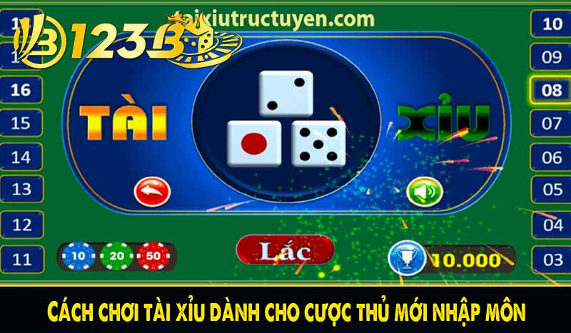 Cách chơi tài xỉu dành cho cược thủ mới nhập môn